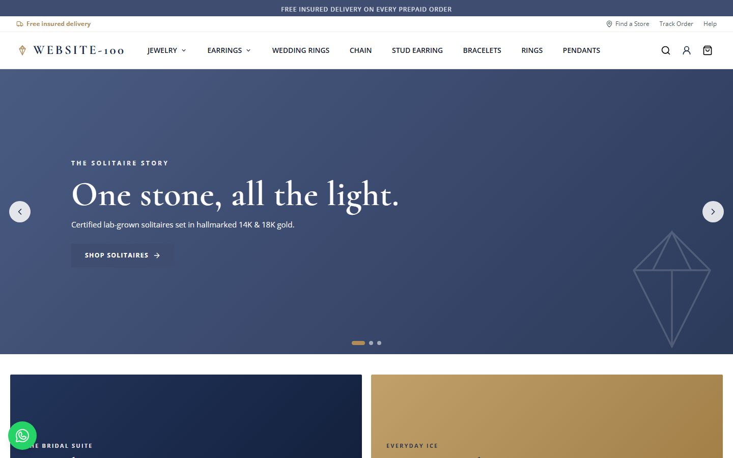 Website-100 homepage