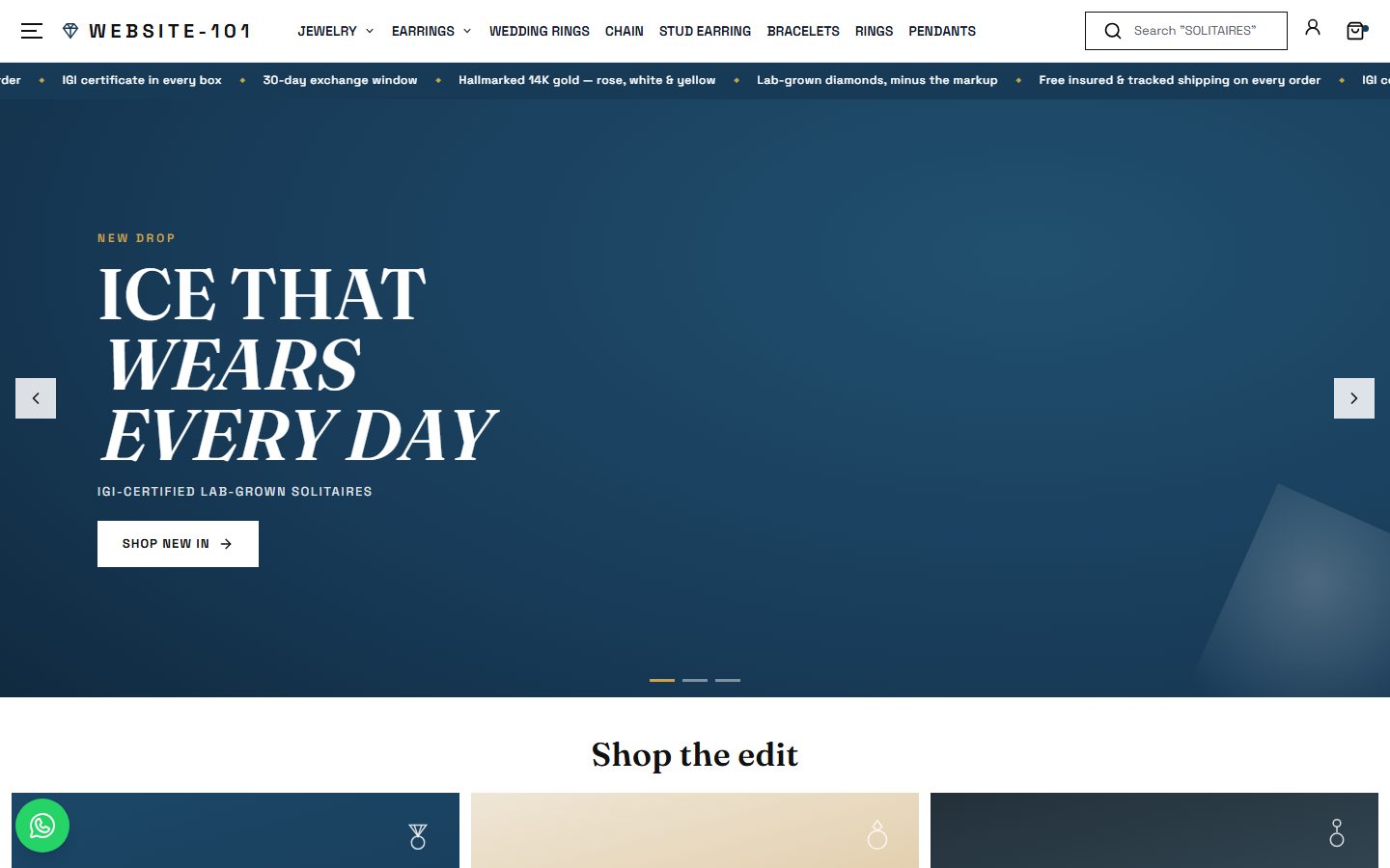 Website-101 homepage