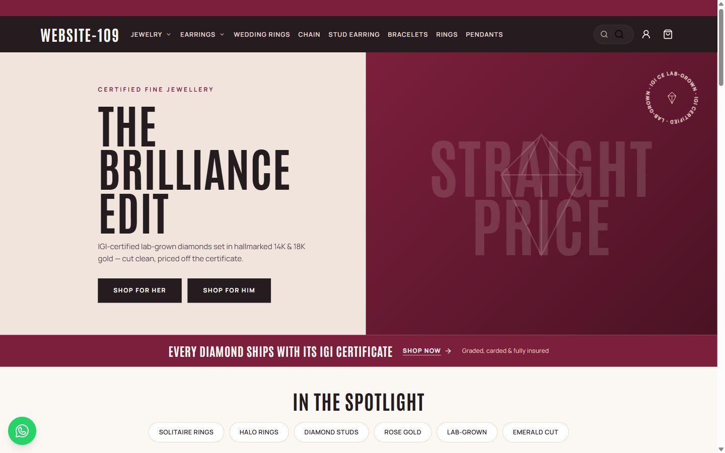 Website-109 homepage