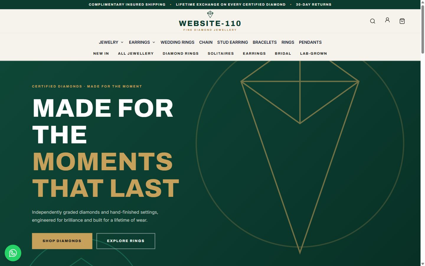 Website-110 homepage