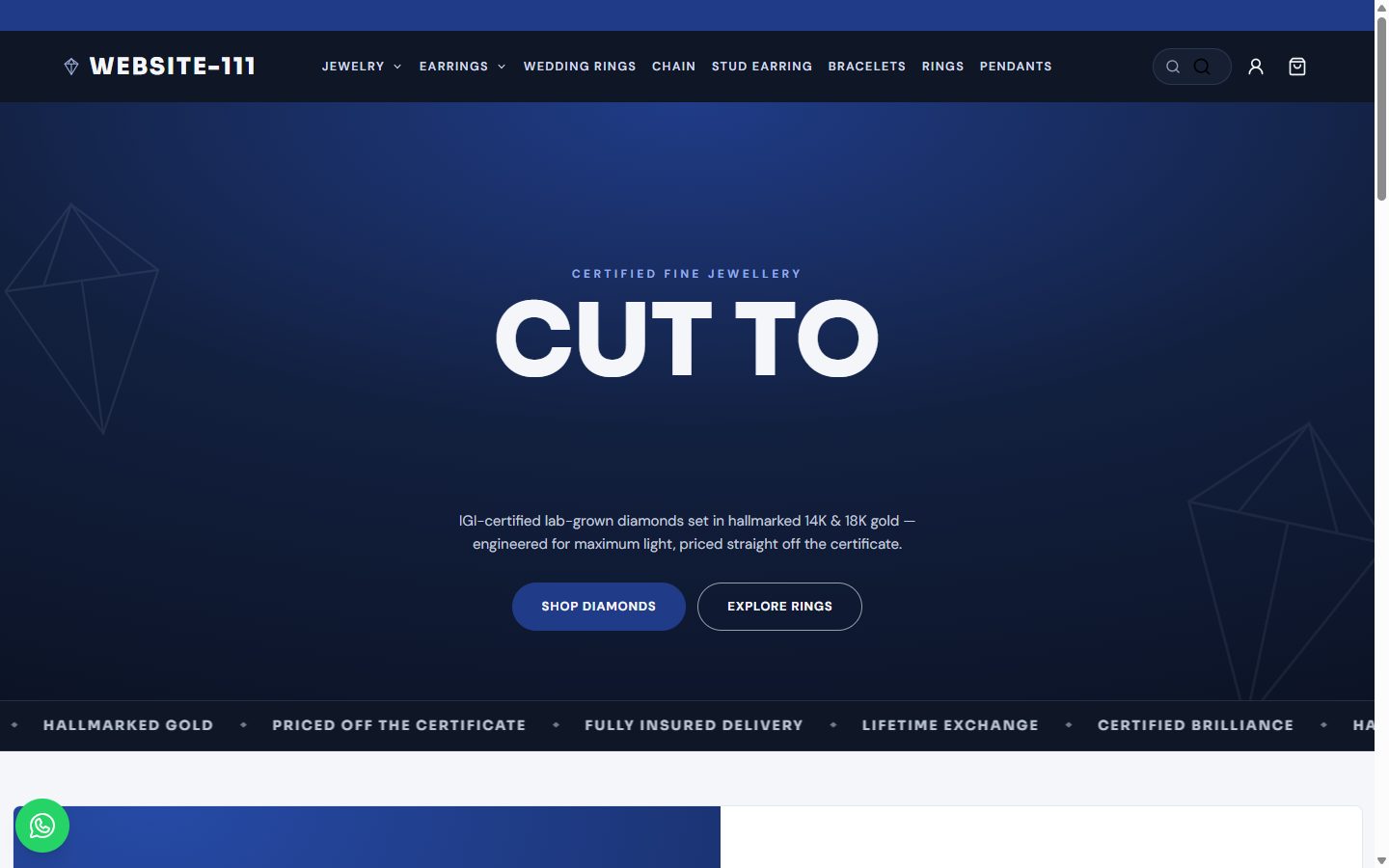 Website-111 homepage