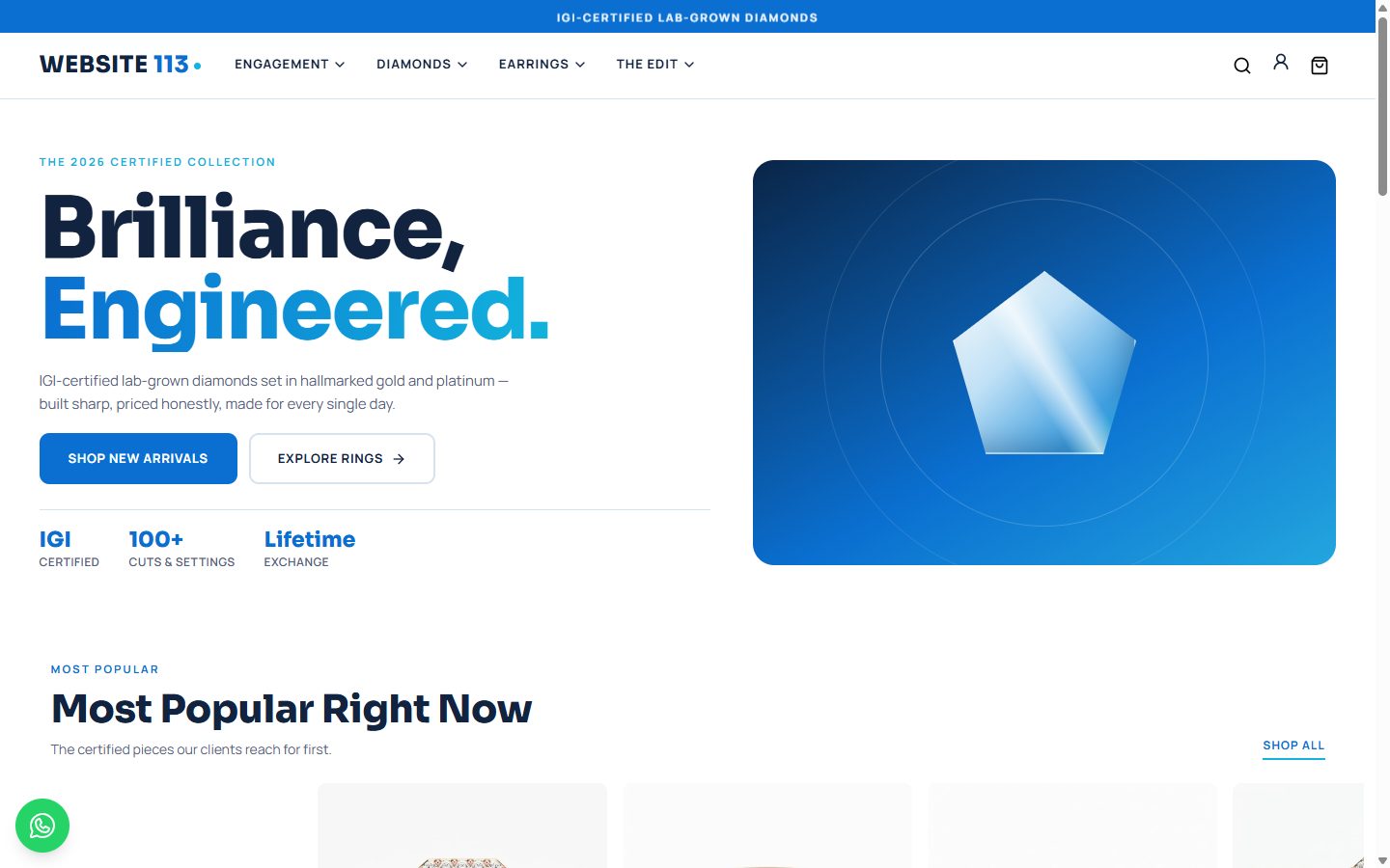 Website-113 homepage