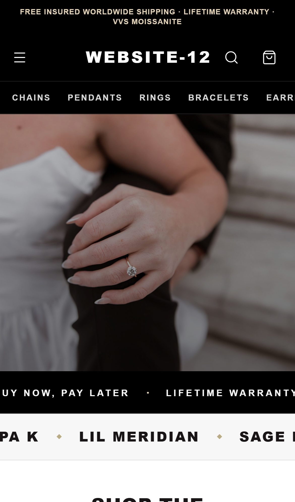 Website-12 mobile homepage
