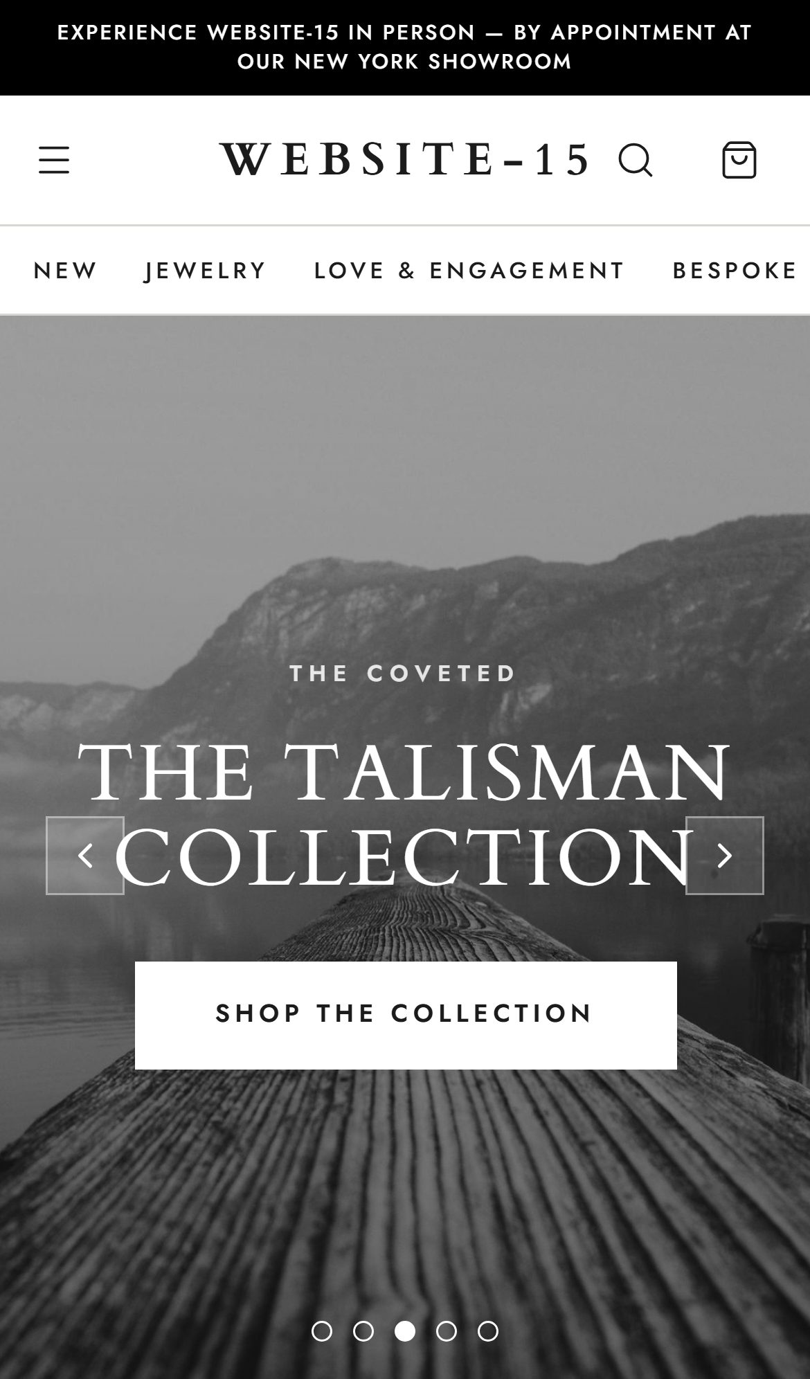 Website-15 mobile homepage