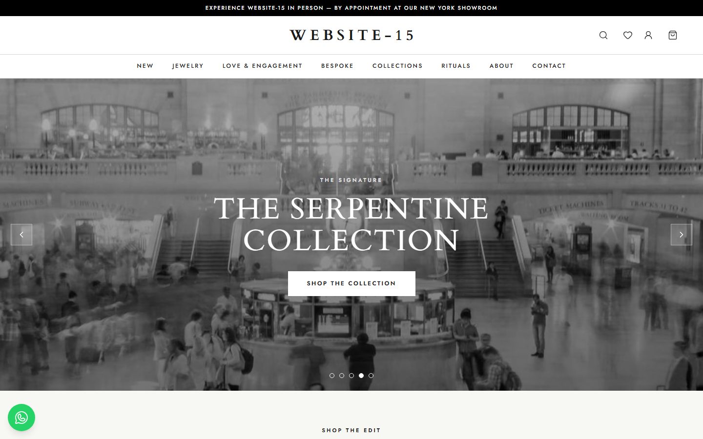 Website-15 homepage