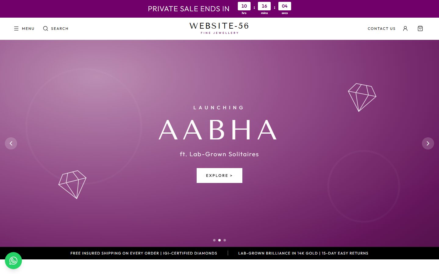 Website-56 homepage