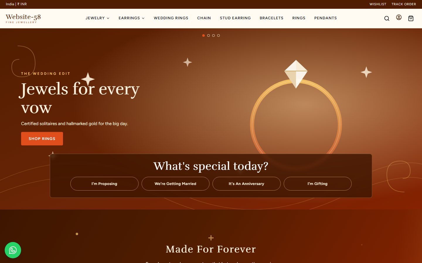 Website-58 homepage