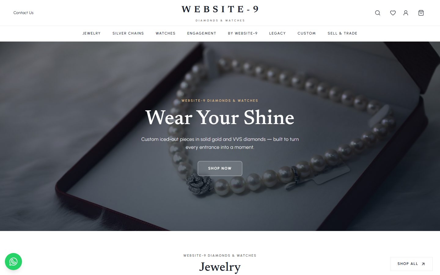 Website-9 homepage